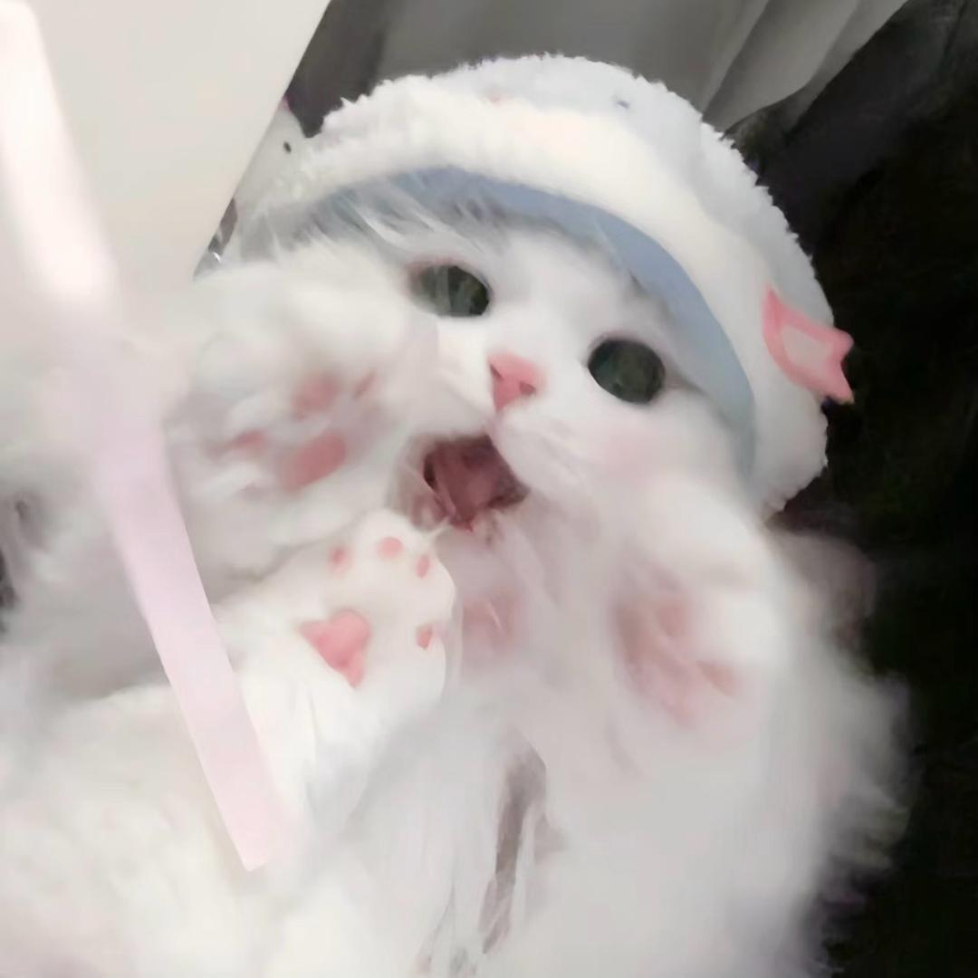 ᰔᩚ倩倩Doki~🎀