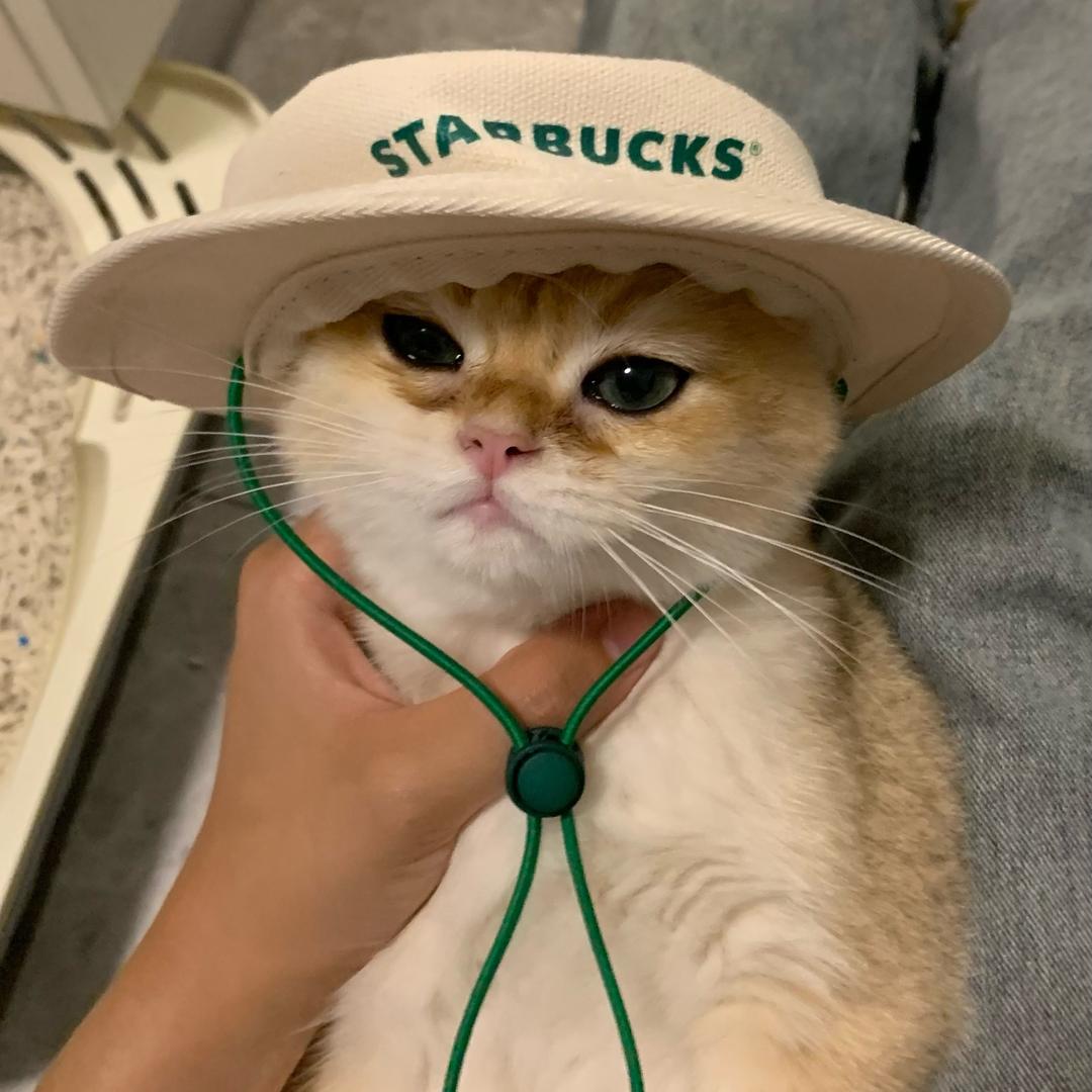 福布叮当玩具箱