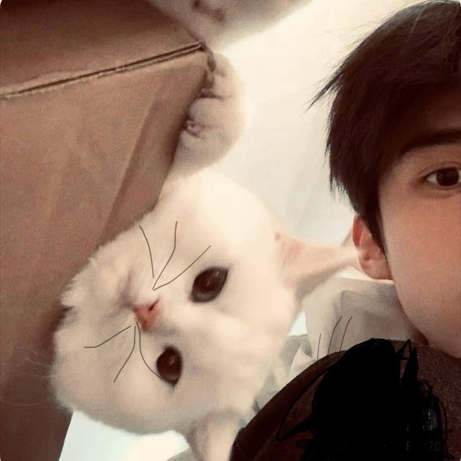 土豆豆豆豆豆了个🫘