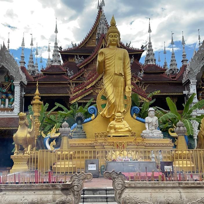 一天到晚游泳的🐟