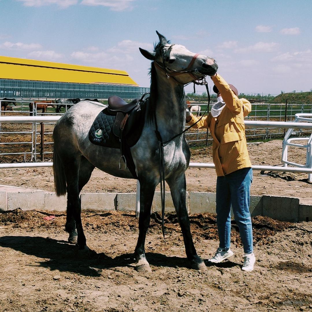 哈尔滨昊宇瑞祥畜牧养殖有限公司