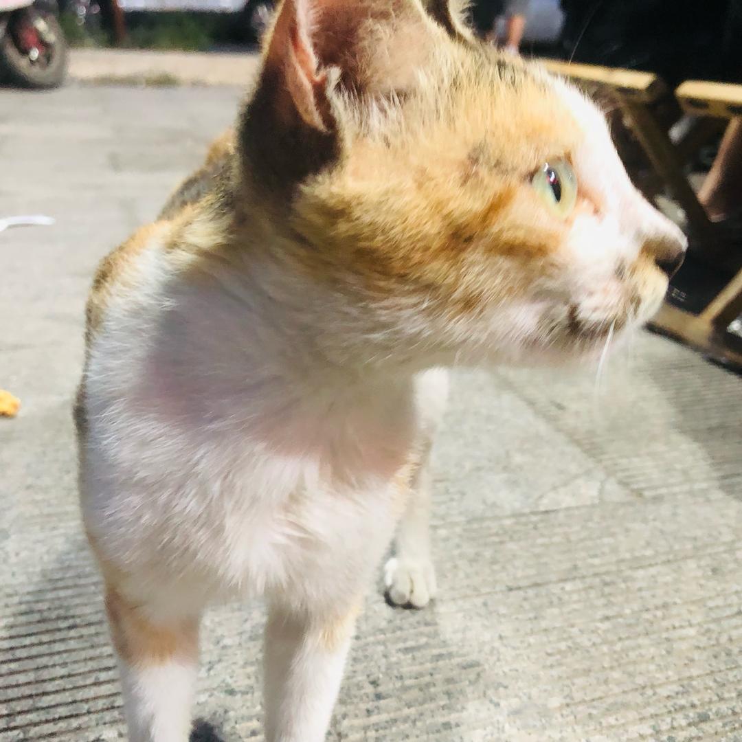 骶骶尾（超自然）