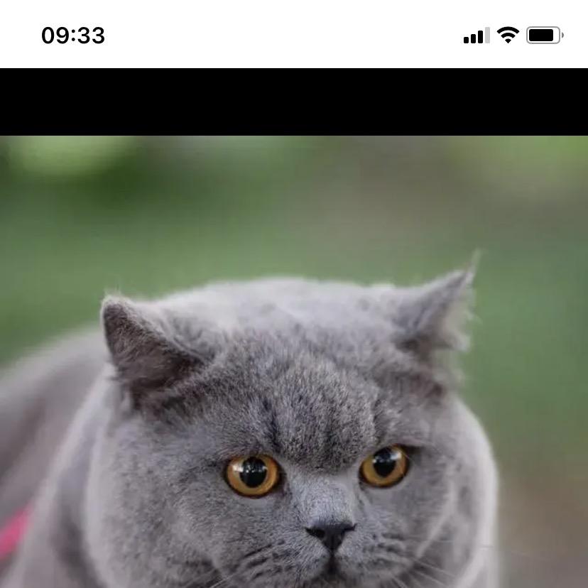 万疆商贸甄选WJ