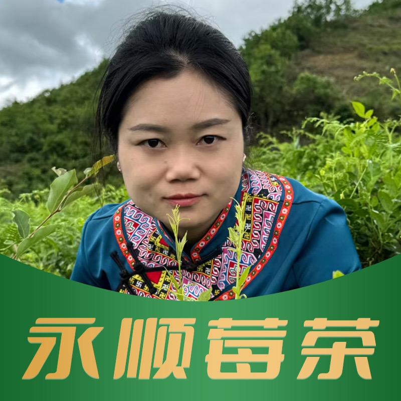 半山梦养生茶旗舰店