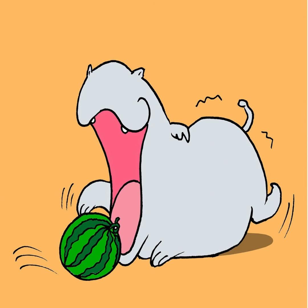 河马爱吃西瓜🍉