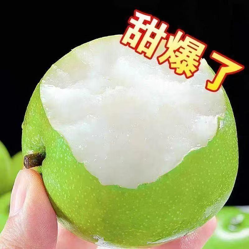 自摘园