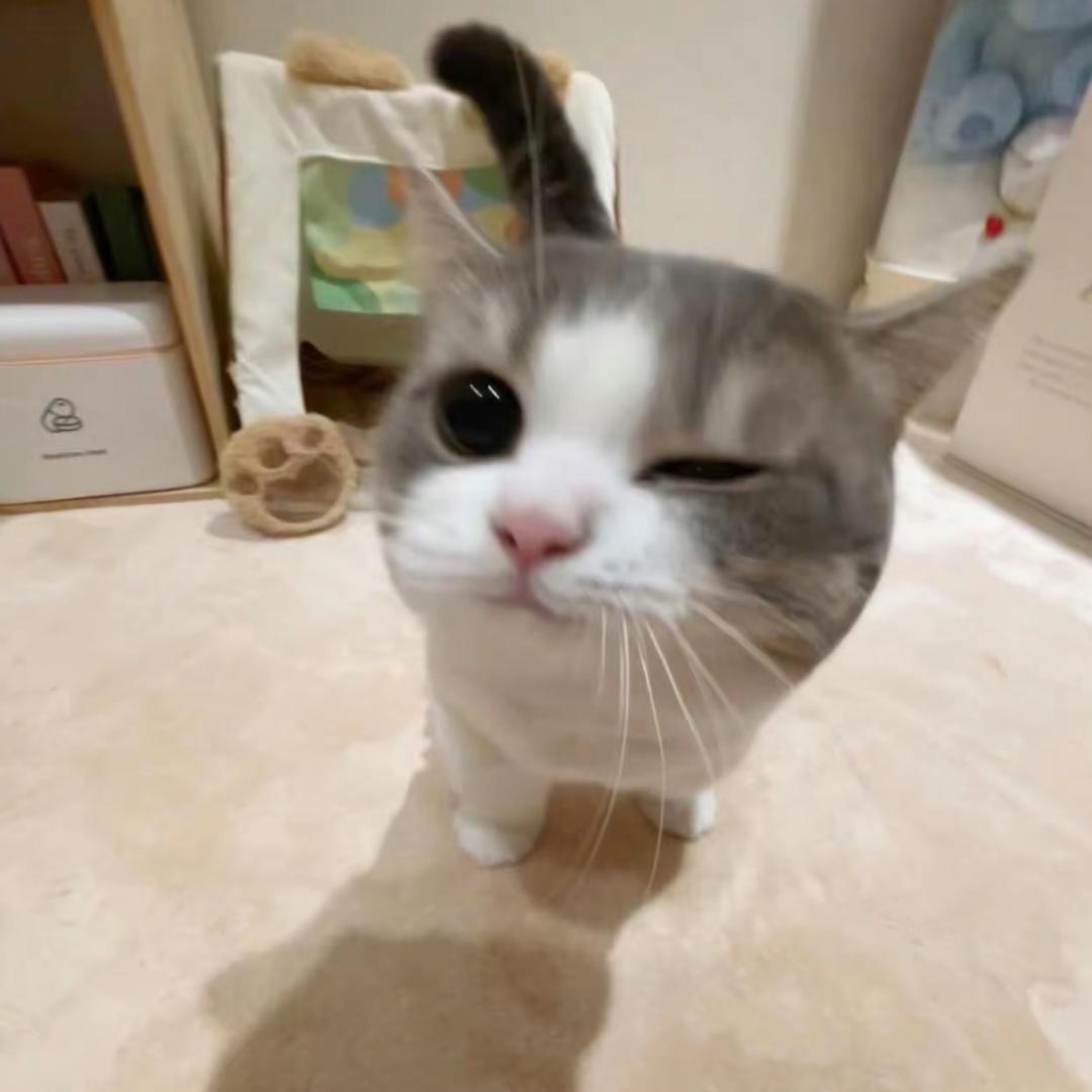 皂皂^