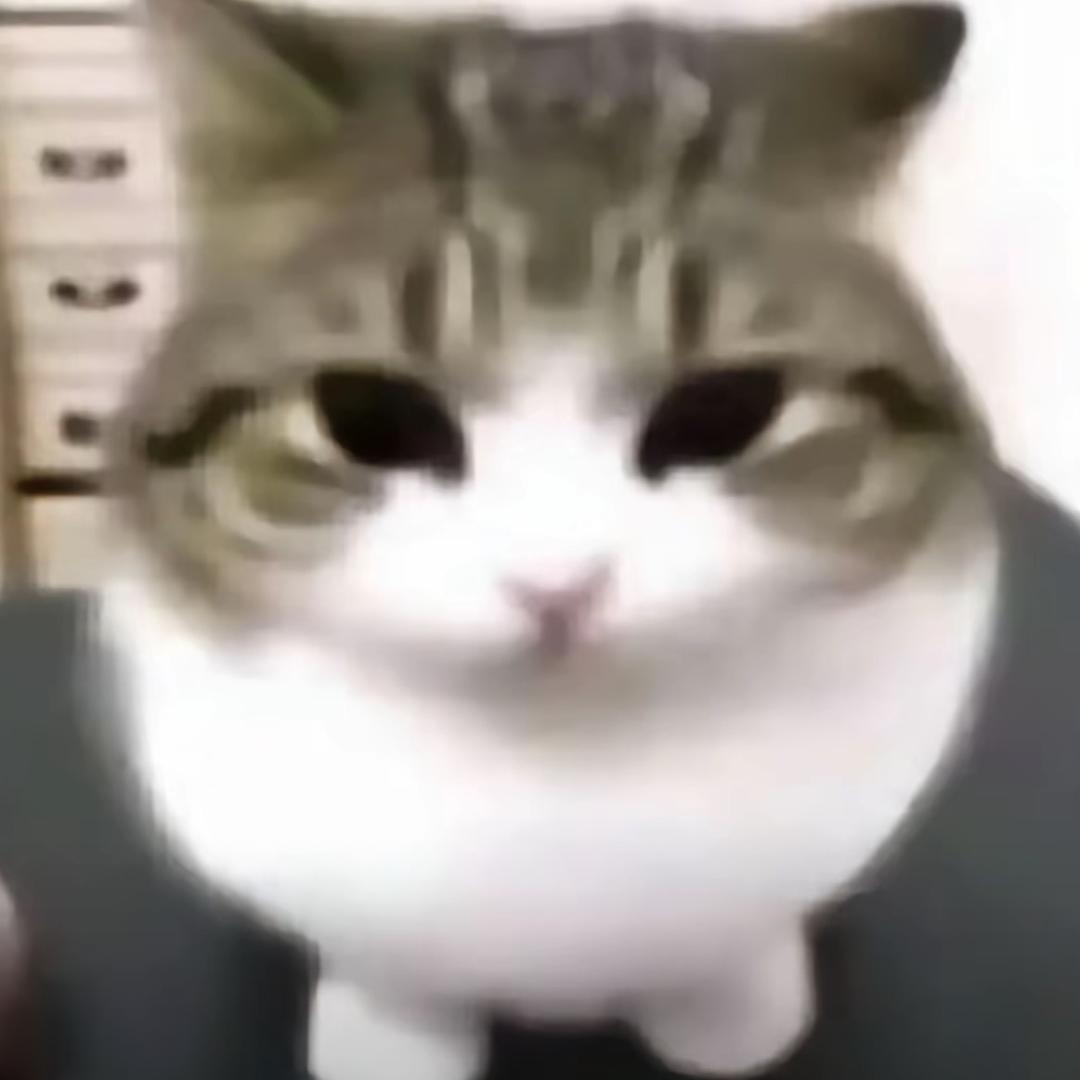 粉蓝丝绒