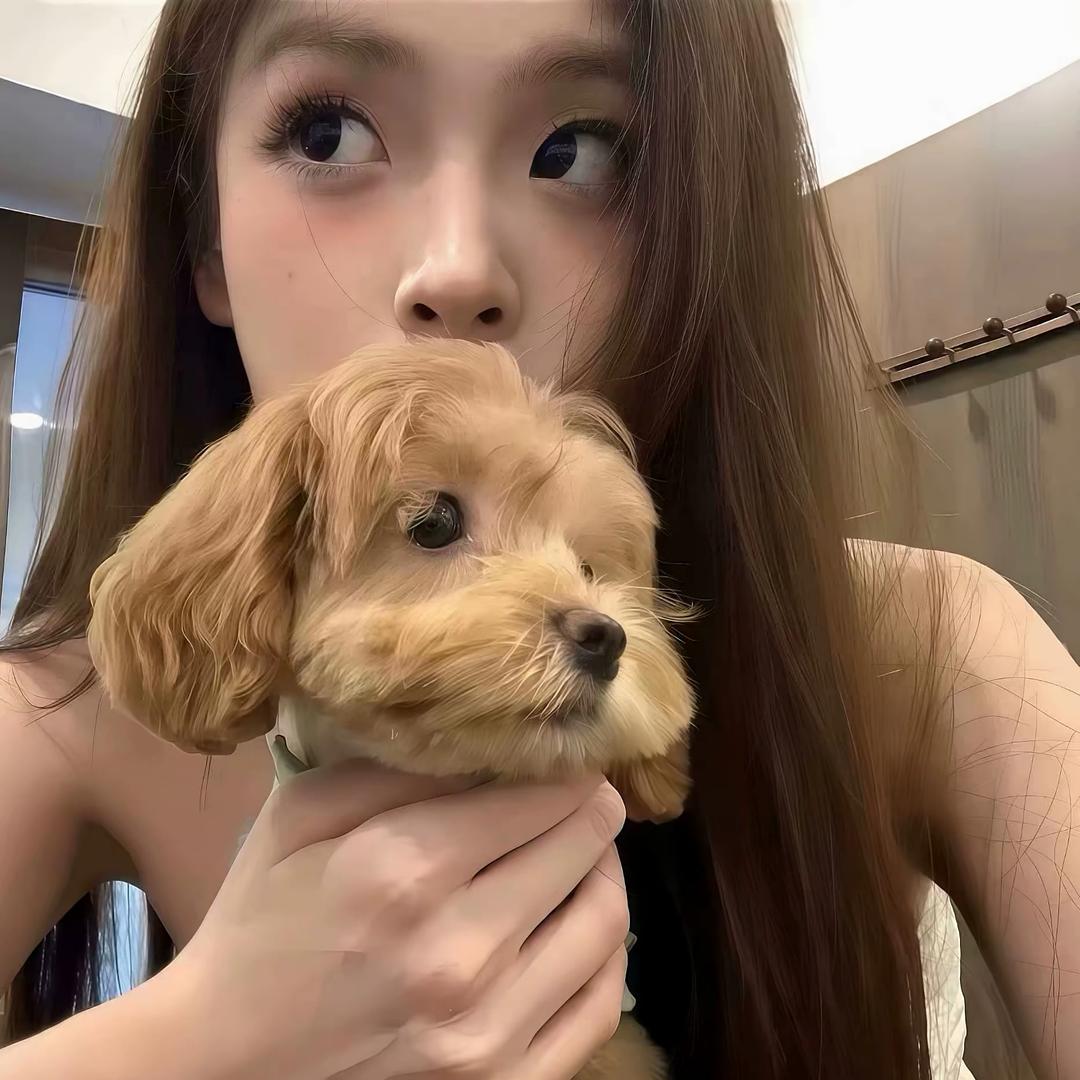微辣小龙🦐