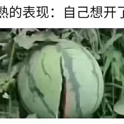 记吃不记打的人！