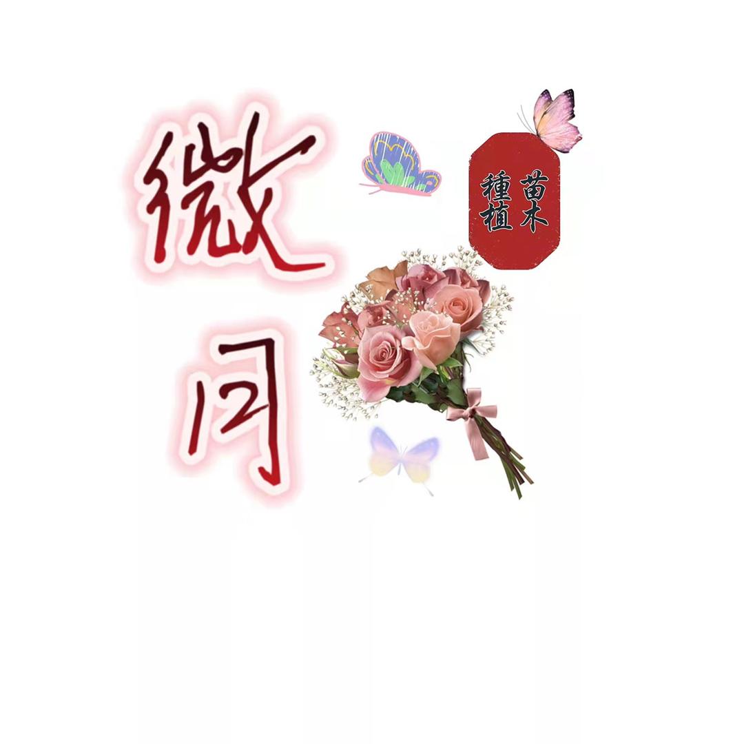 weiyuemiaomu
