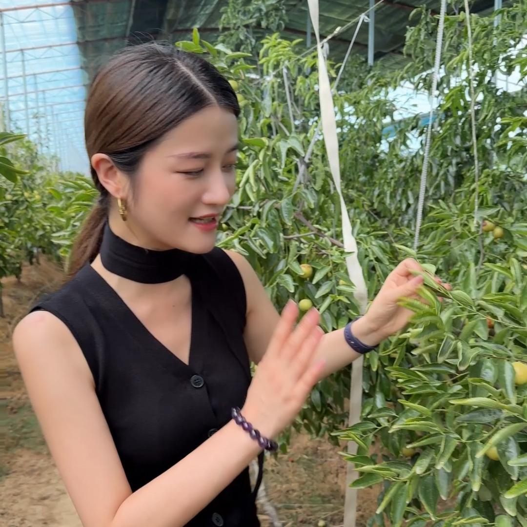 琪林四季果仓