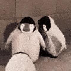 唱歌呀