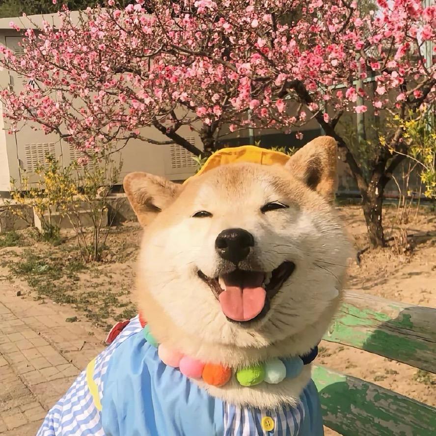 小明🔅
