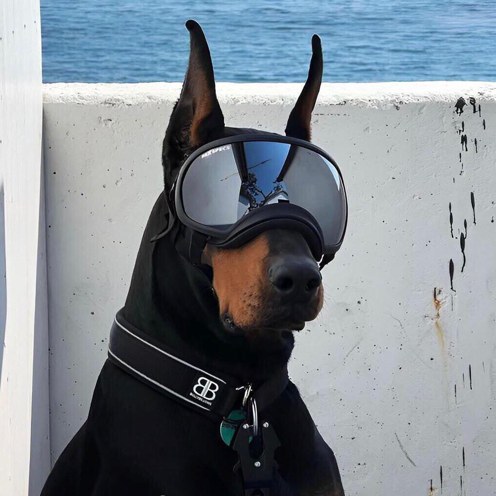 🔥我与春风皆过客⁶⁸¹