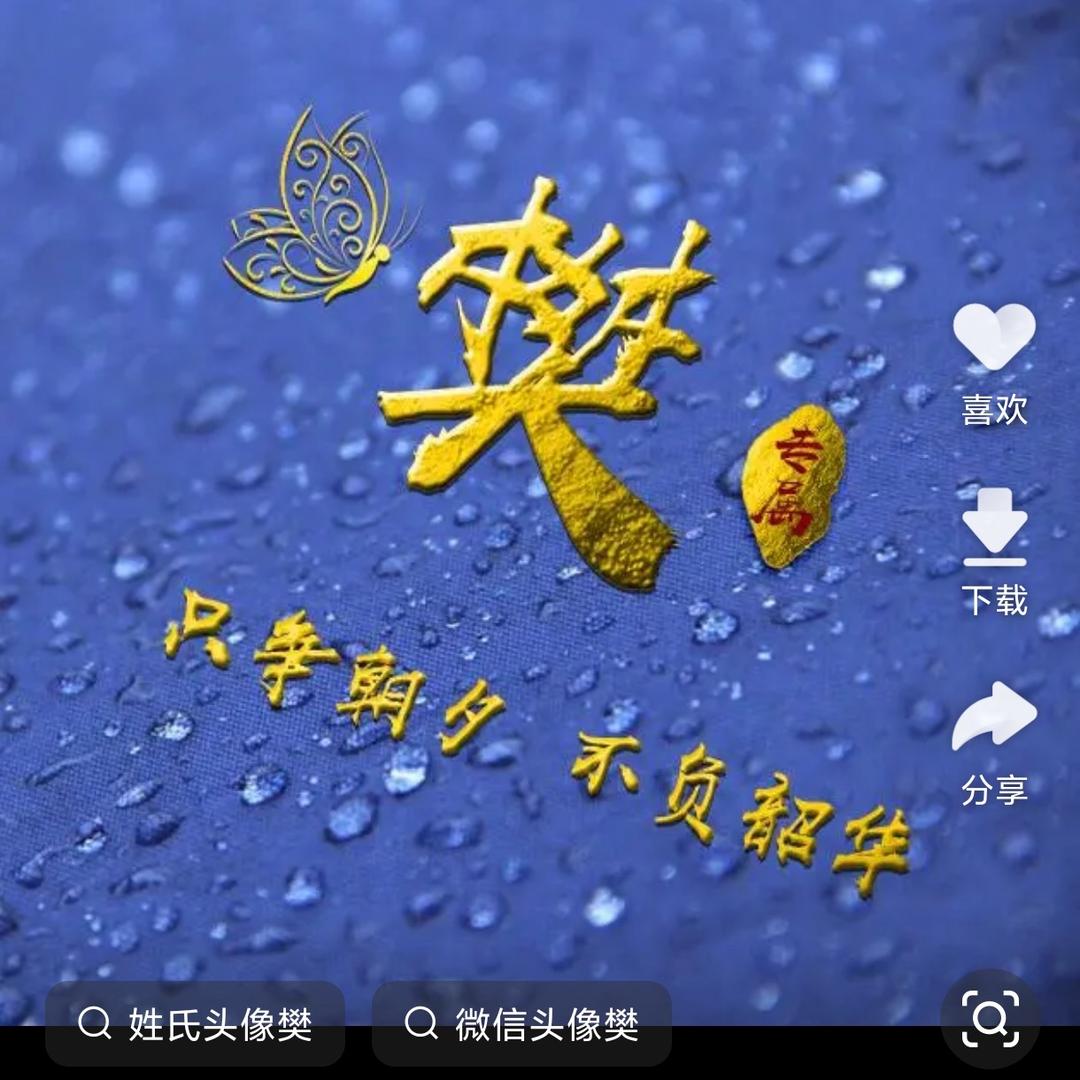 $樊雪&飞花$