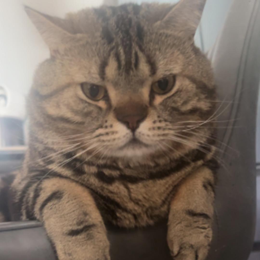 6545765