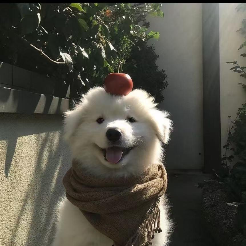 心安.