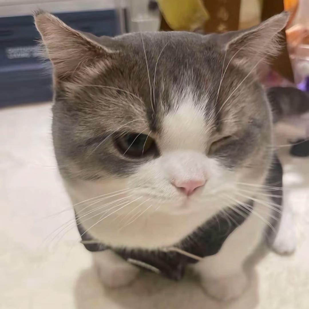 烤卤猪.