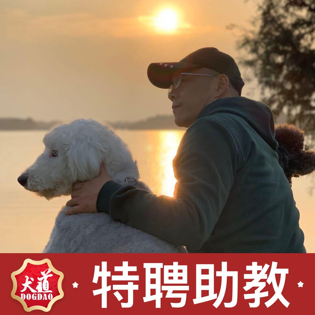 狗班长训犬