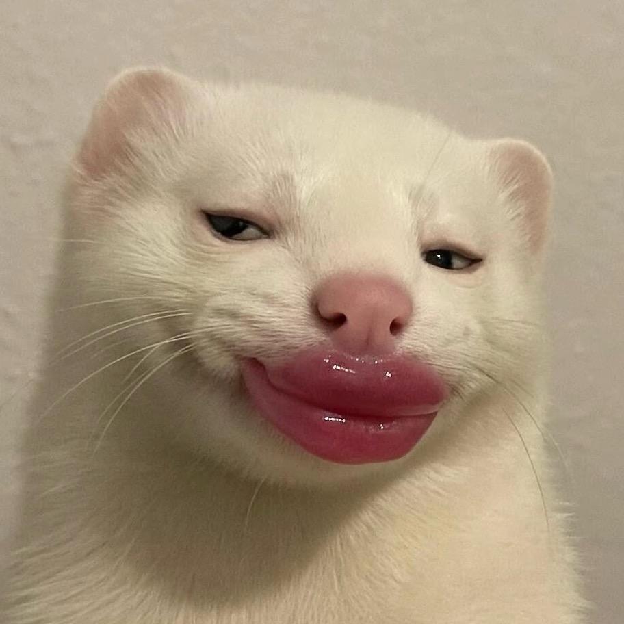 🐟.