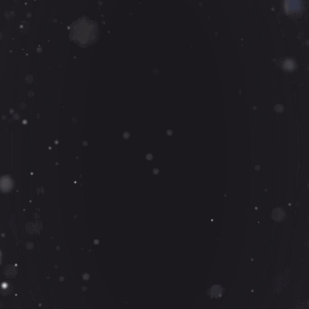 翻译官