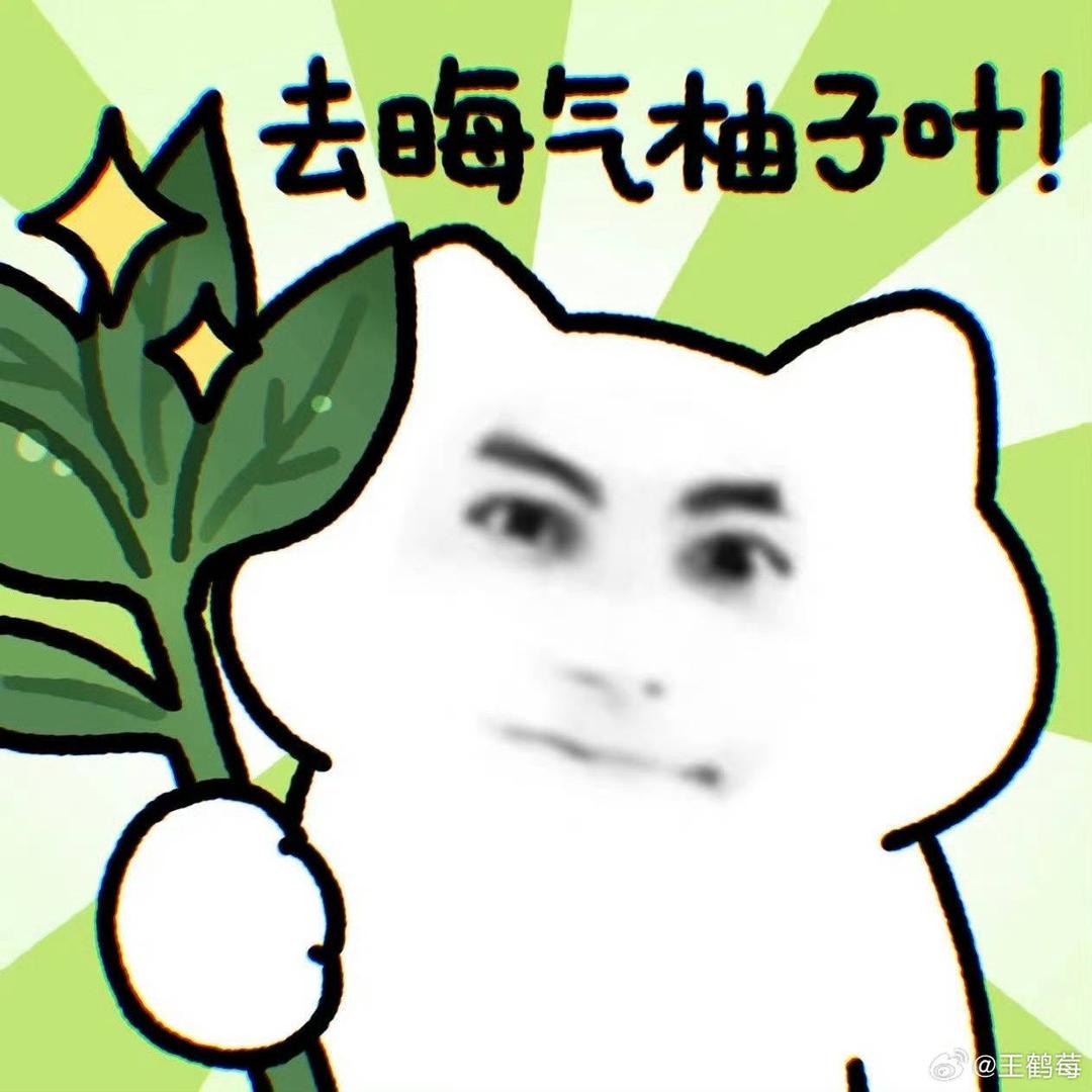 王毛毛🧚🏻‍♀️