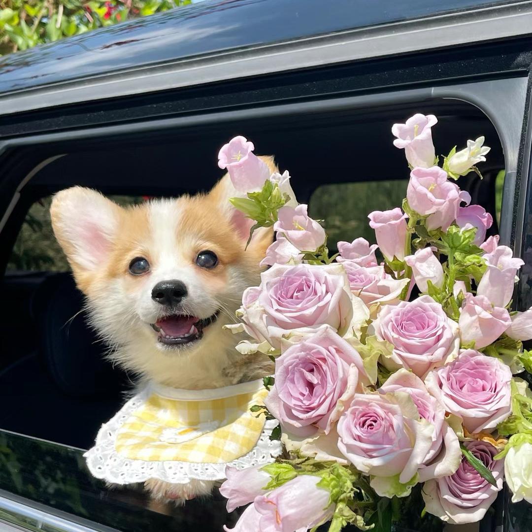 ⠀ ⠀⠀⠀⠀⠀⠀⠀⠀⠀⠀⠀⠀⠀