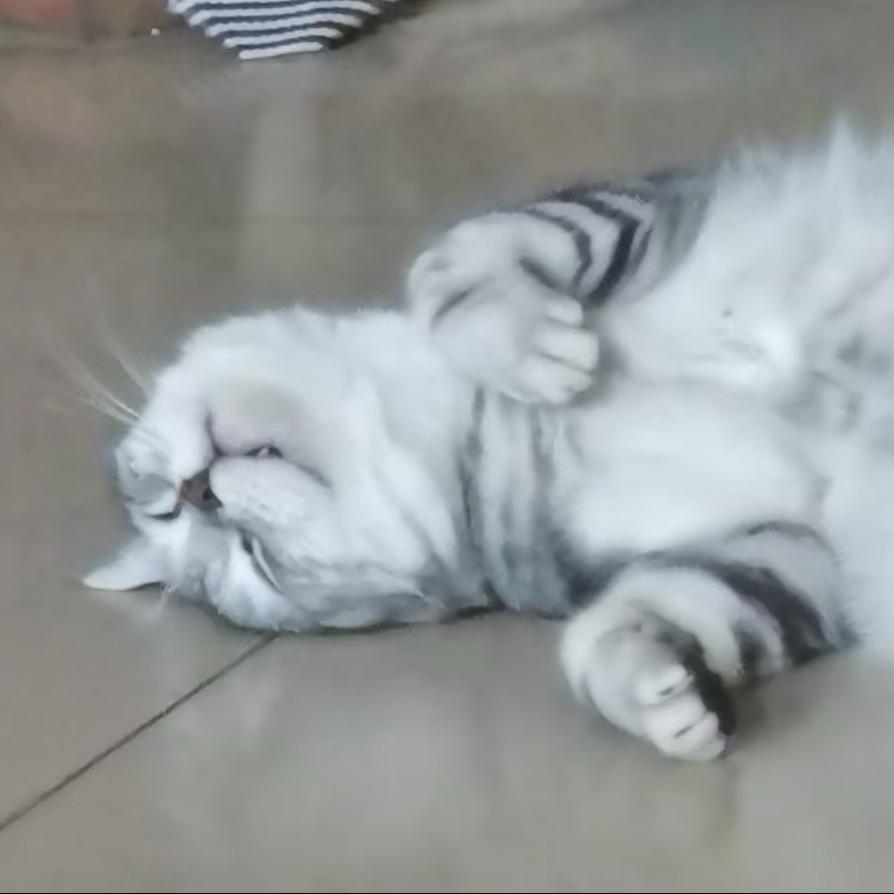 大儿名叫六百