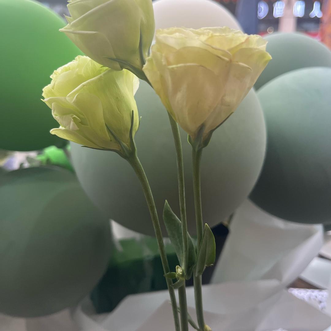 你的小姨