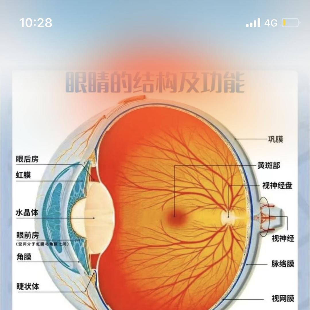 小站华目眼镜店