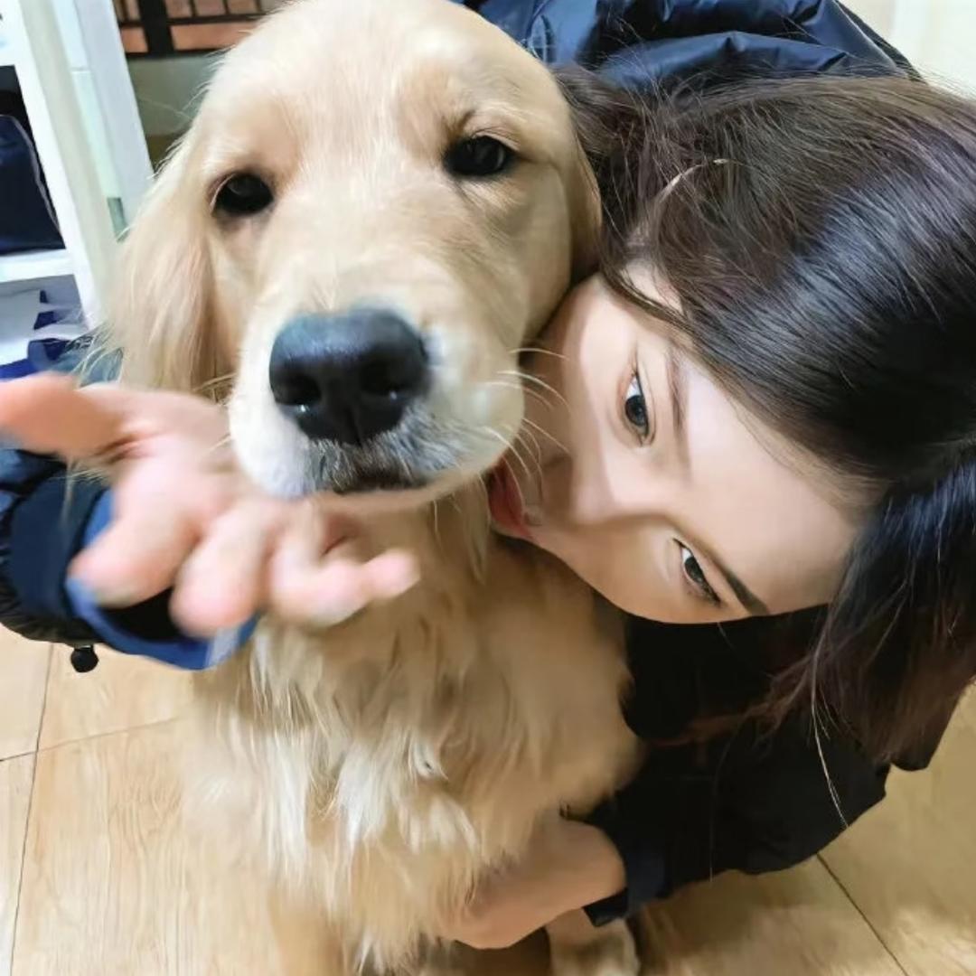 。 .   。