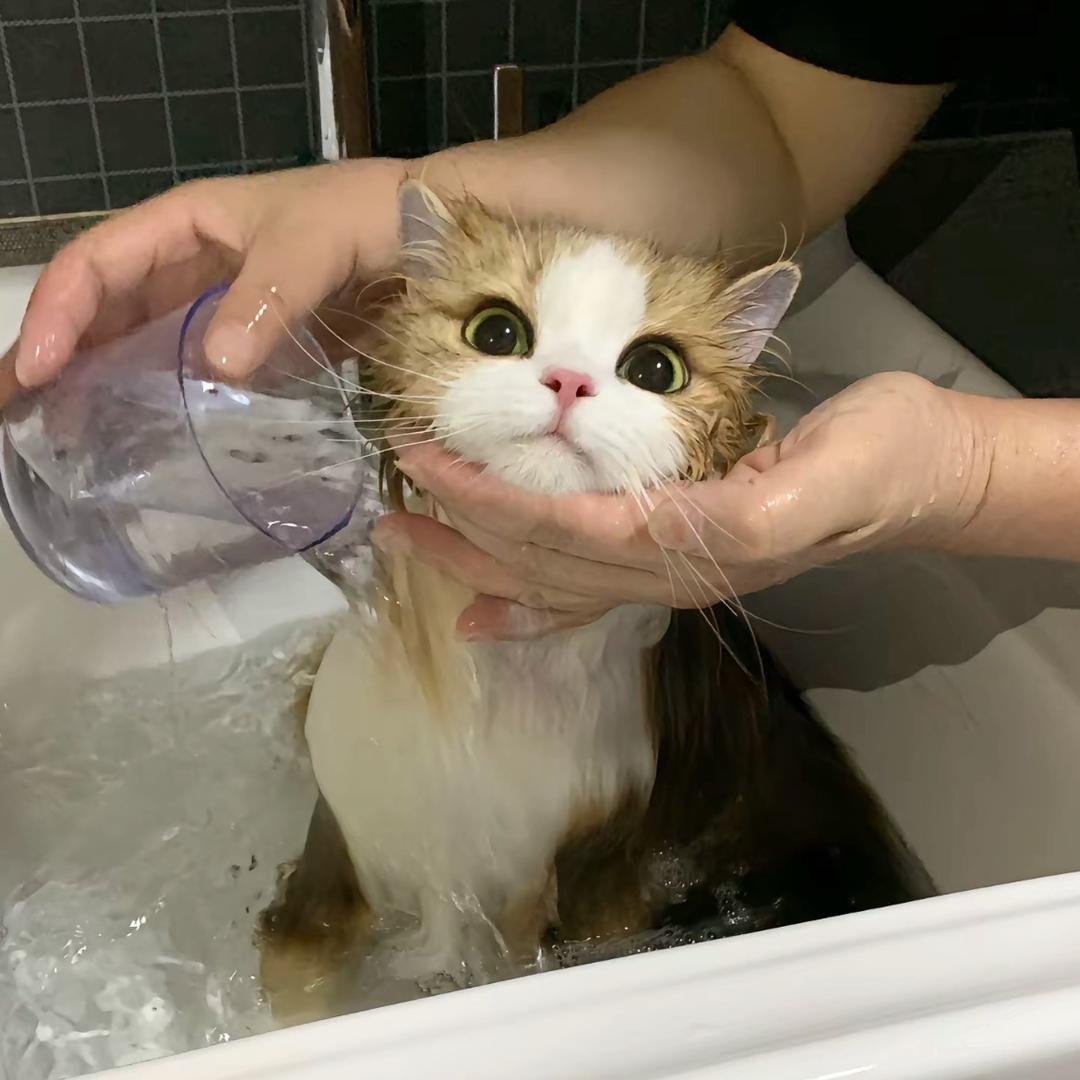 夜時雨