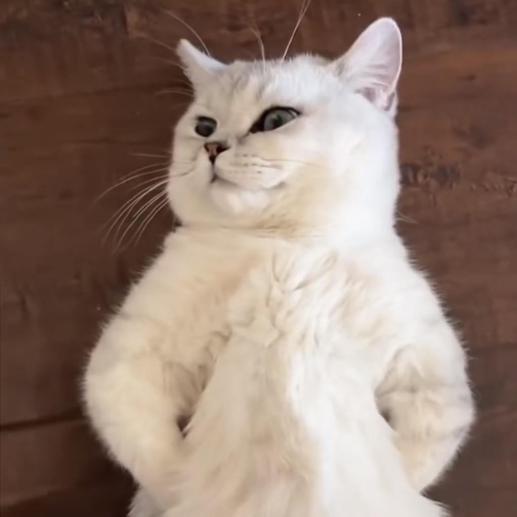 ╮(╯▽╰)╭