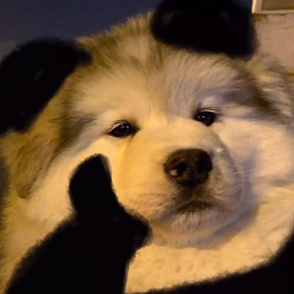 如我