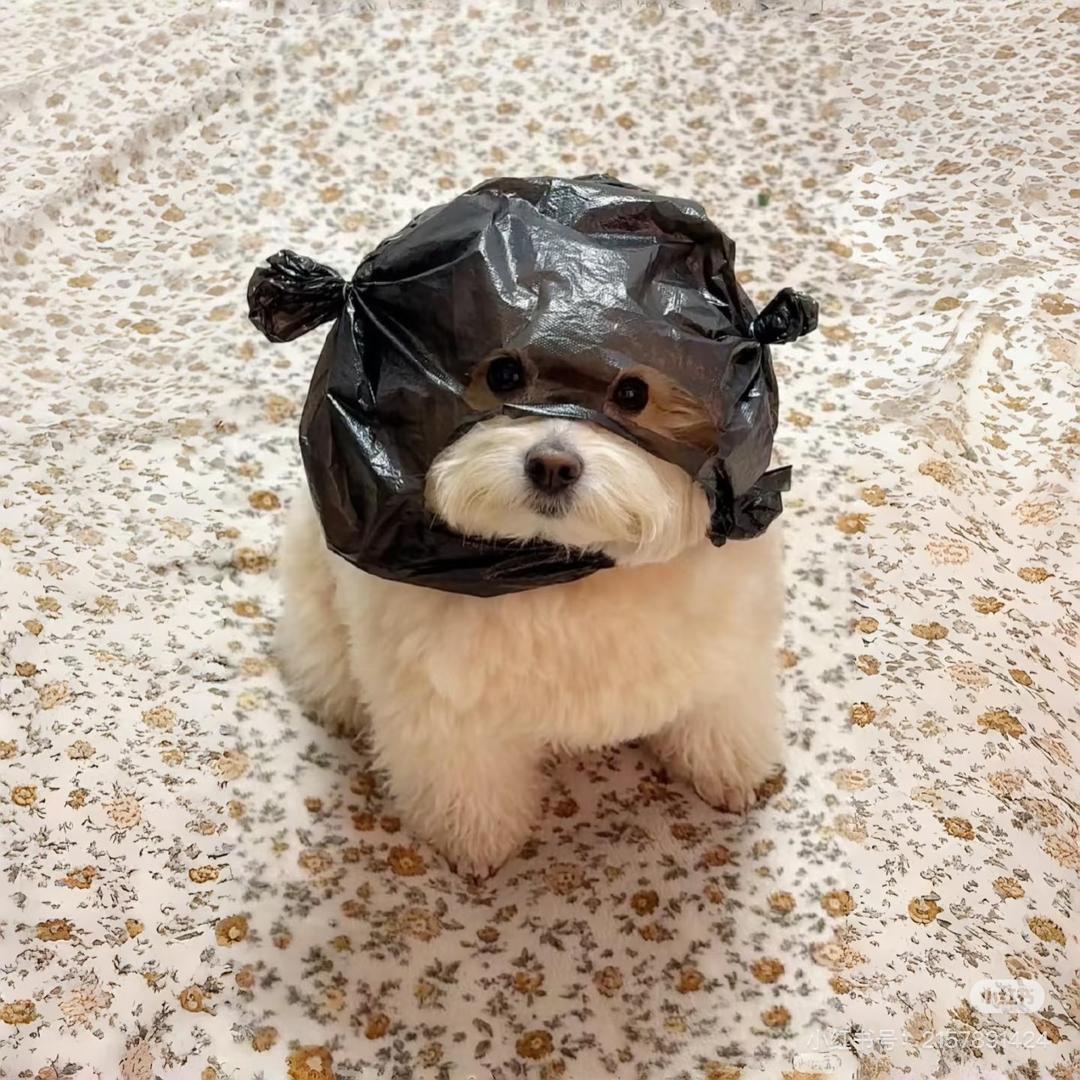 佳妙生物科技严选店