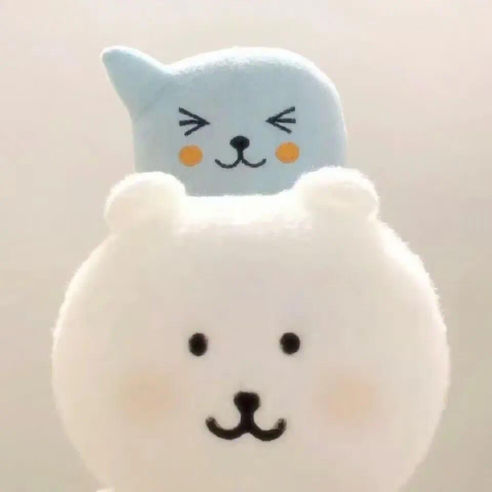 假如给我一只猫