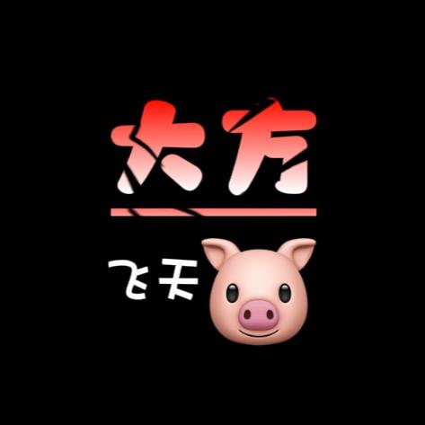 大方飞天猪
