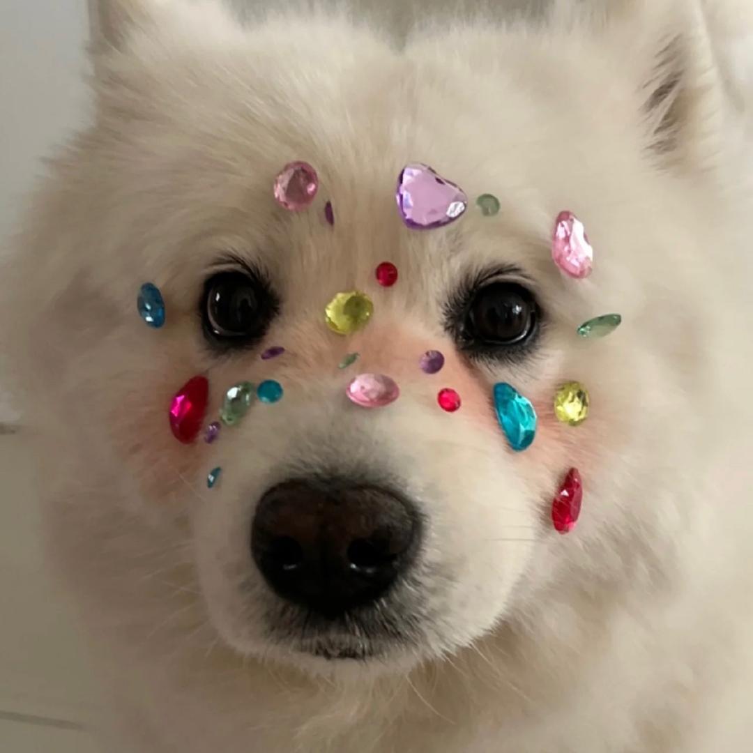 🫶🏿