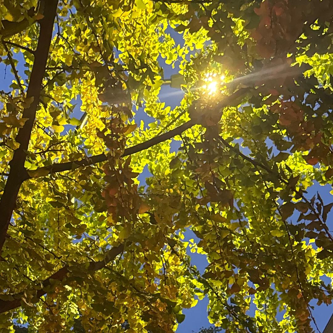 ☆☆☆☆☆☆☆