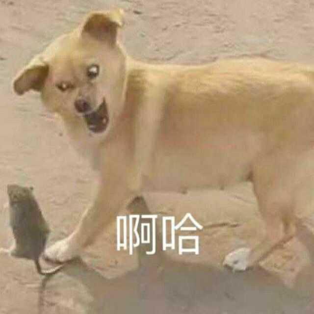 一抹多的人头像