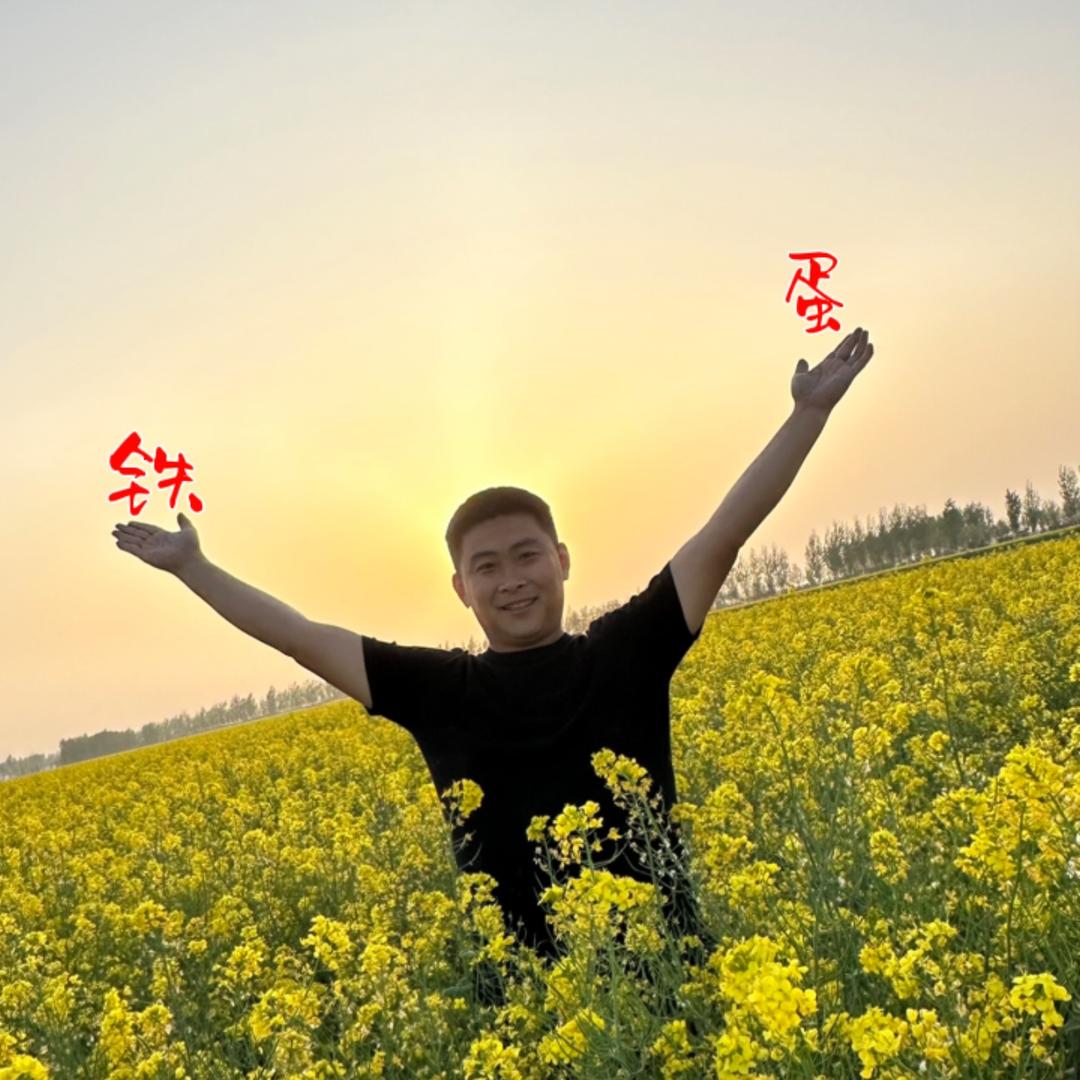 铁蛋儿
