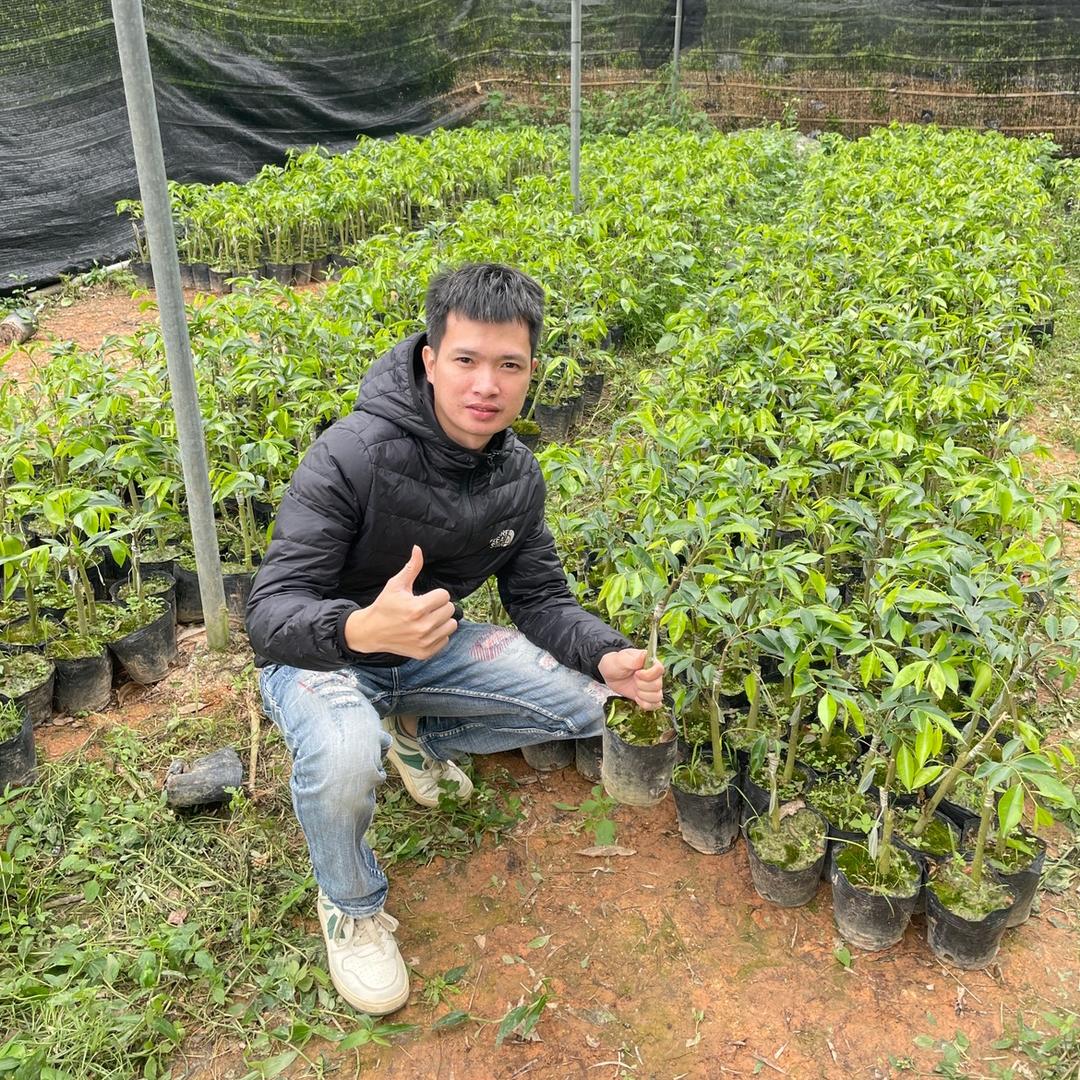奇楠沉香-香农阿辉