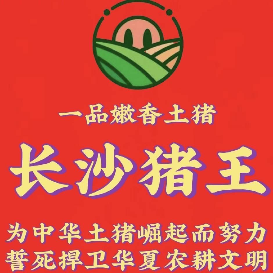 长沙猪王(直播主账号)