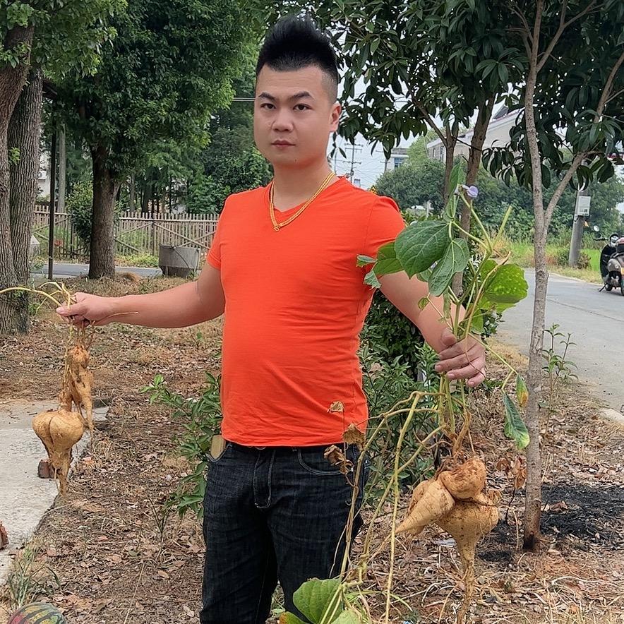 仁义小杨哥