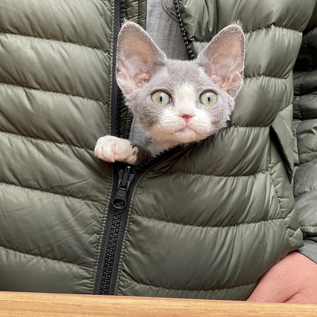 一家四口 儿女双全