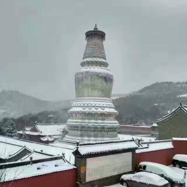 老大