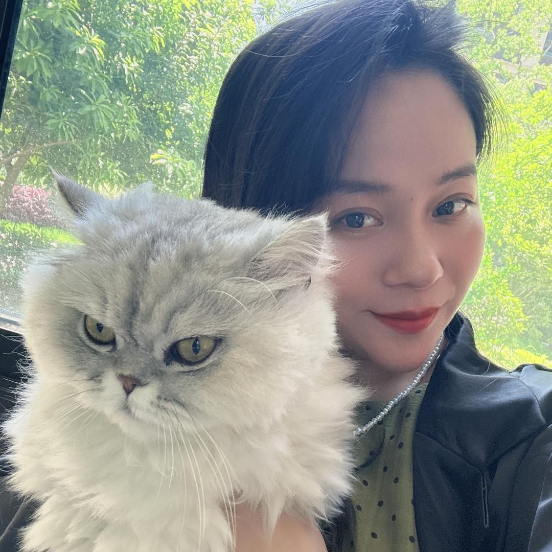 💛陈陈梦儿