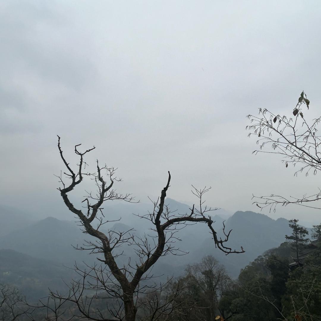 故源