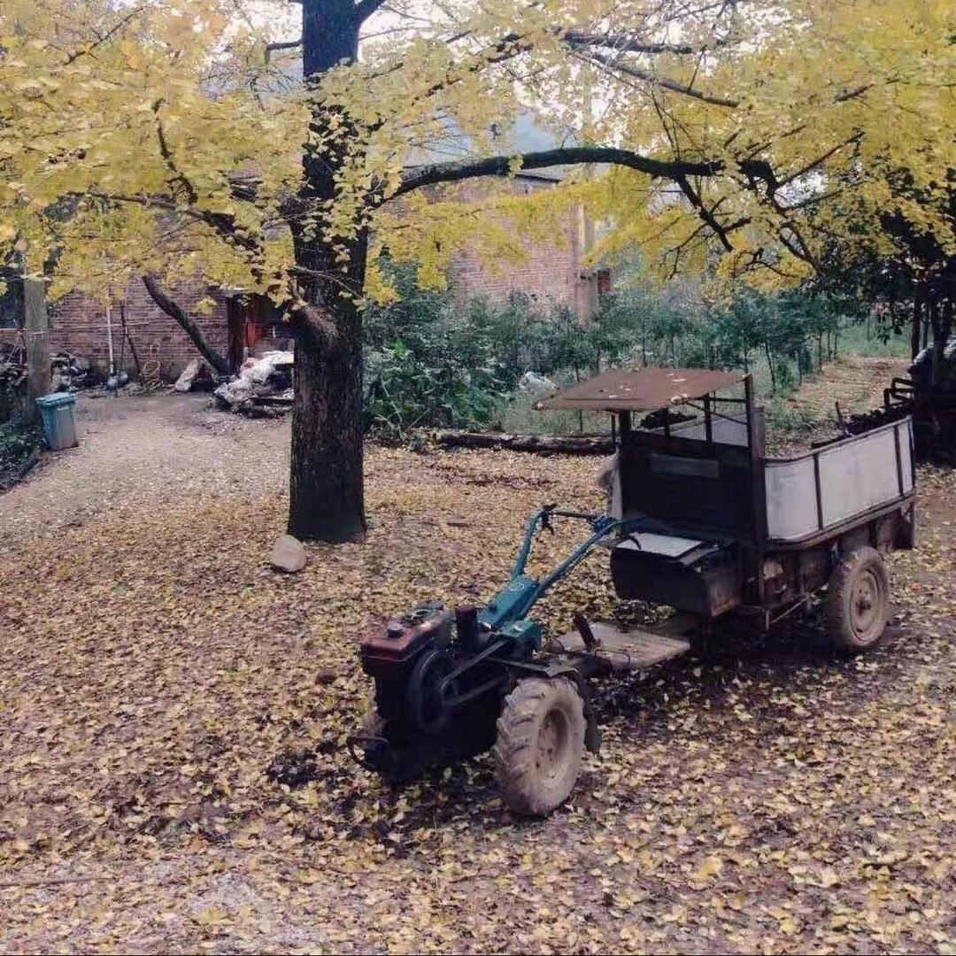 803 ο▬▬▬▬|▅▅▅▆▆▇◤